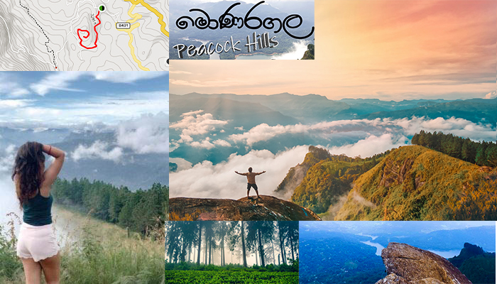 Peacock Hill, srilanka