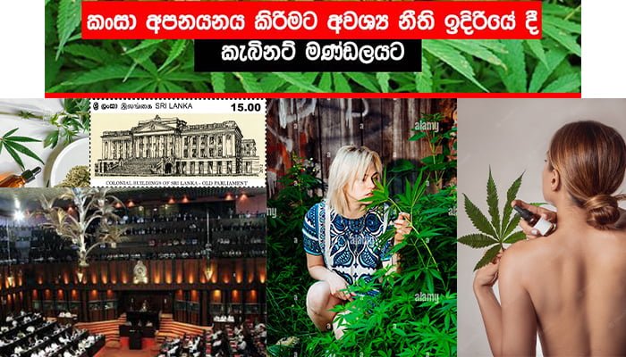 කංසා ගැන නීති අලුත් වේ !