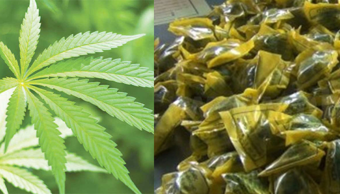 ganja madanamodaka