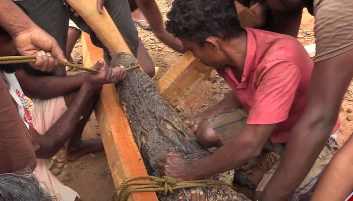 kubul katata atha
