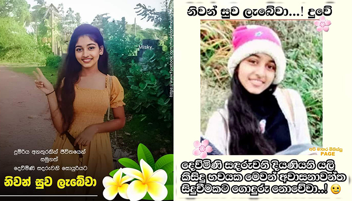 dumriye hepi miyagiya dewmi