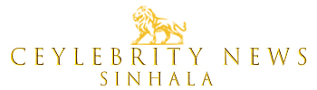 ceylebrrity news sinhala Terms and Conditions